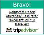 Rainforest Resort