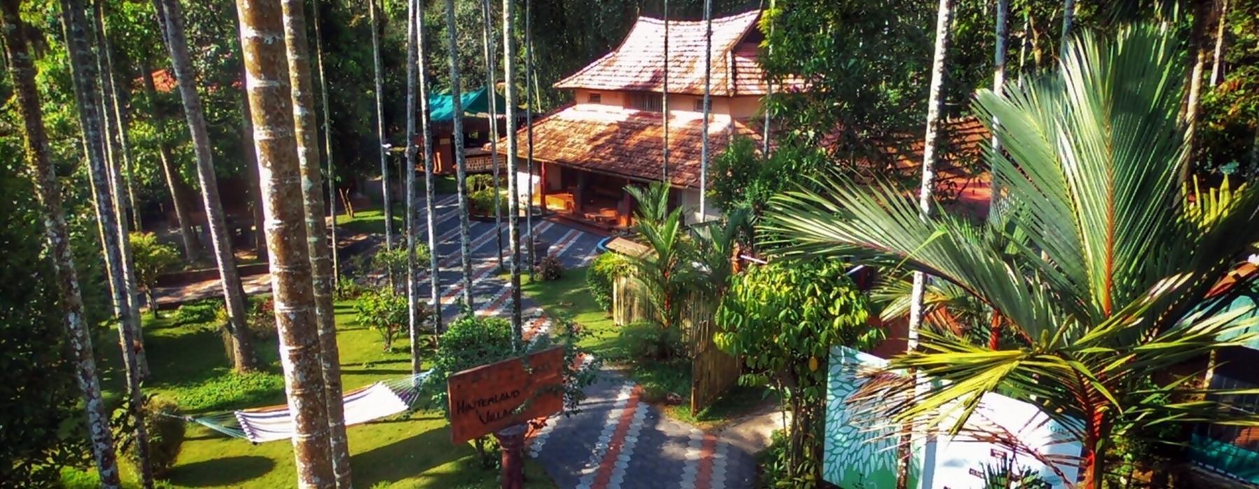 Yoga Retreats in Kerala